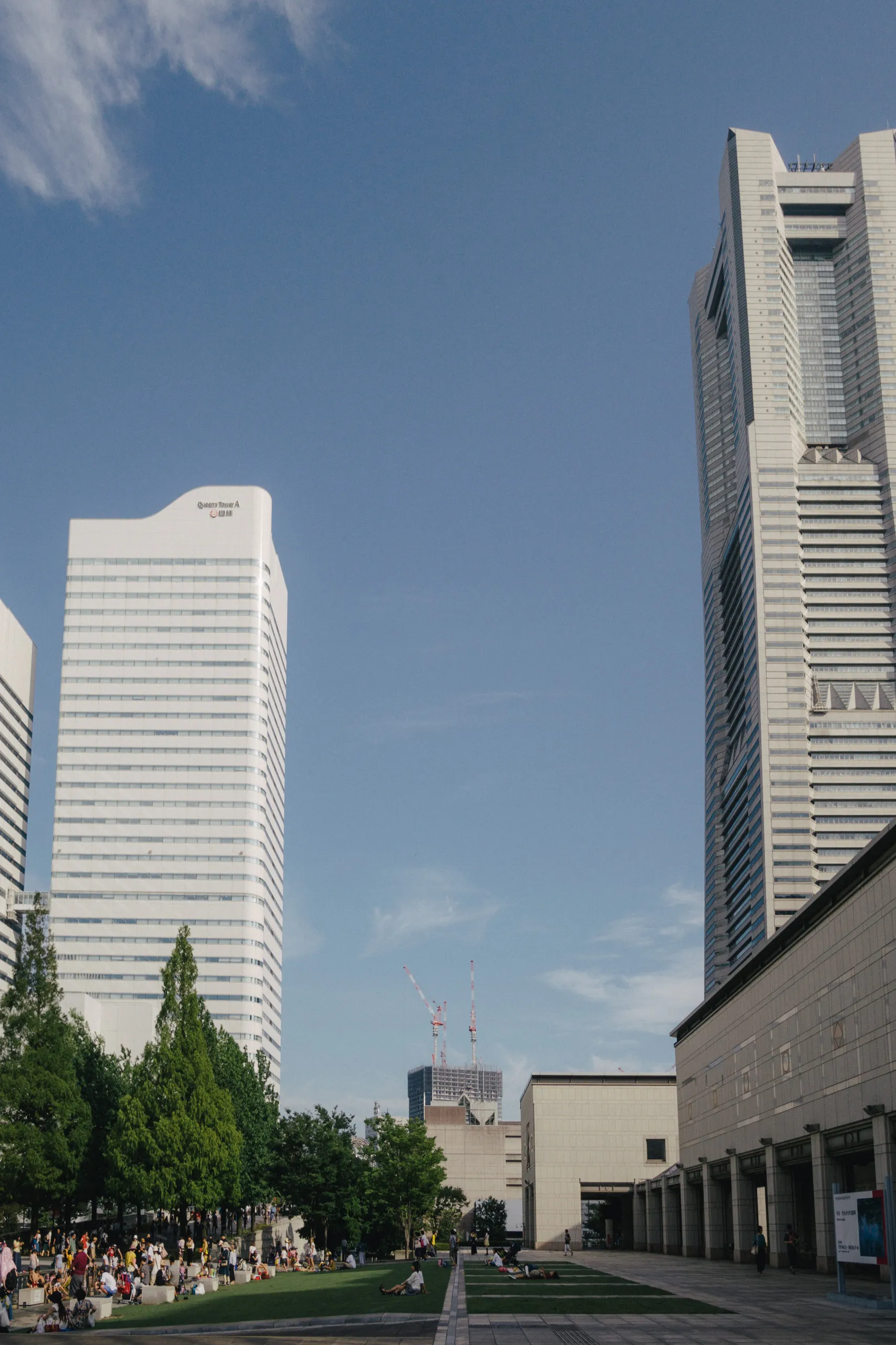 People resting on grass