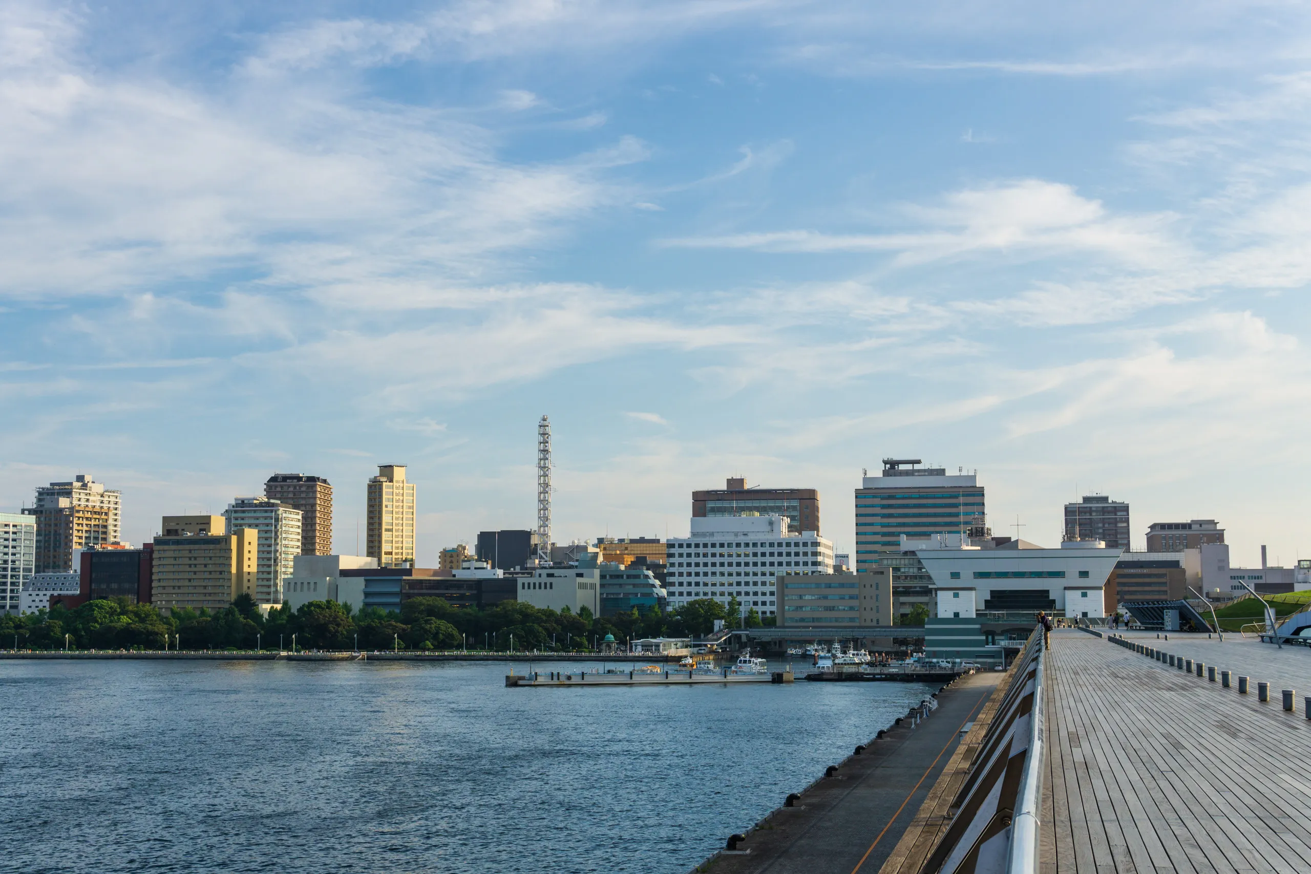 View of yamashita garden
