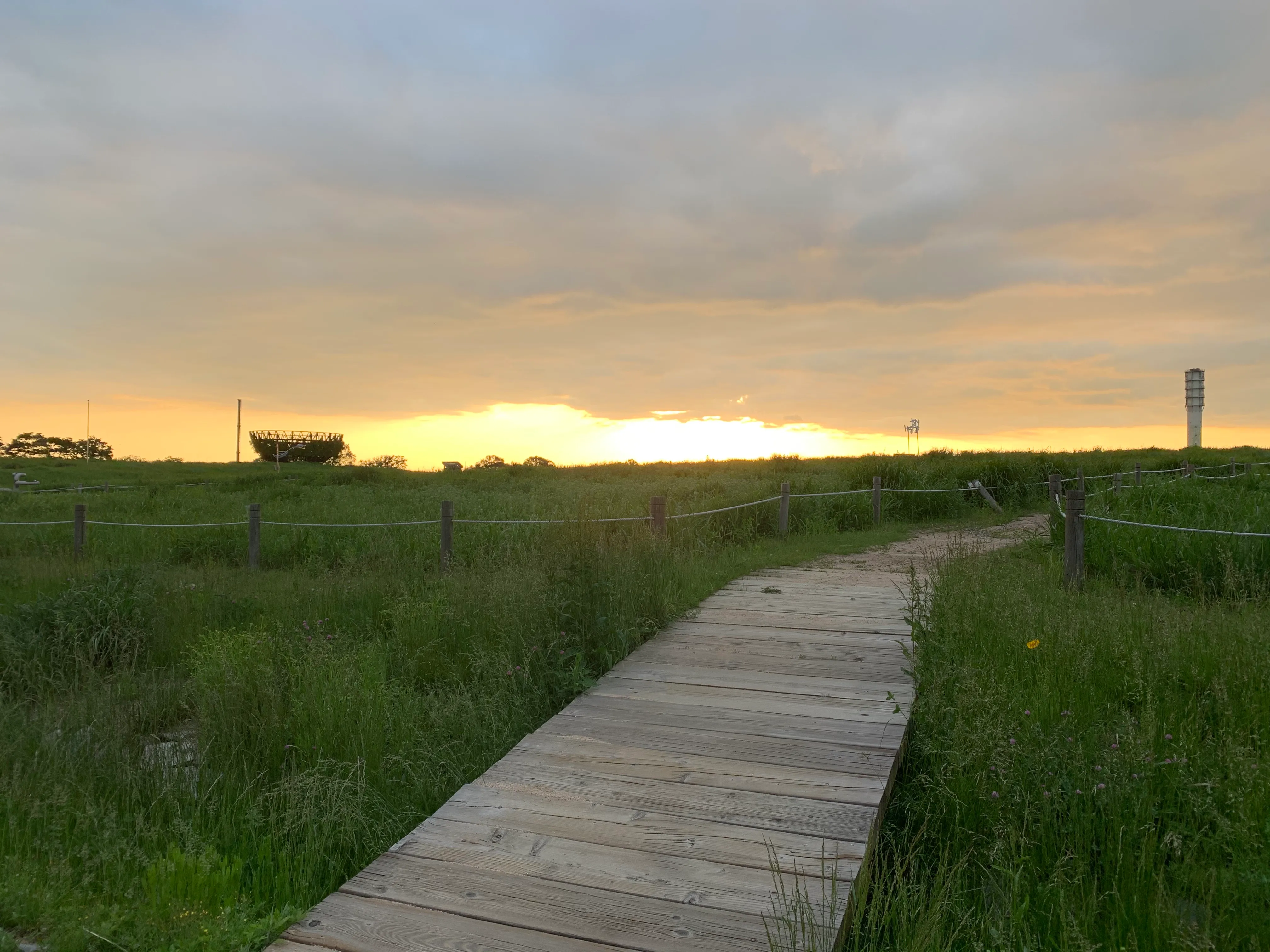 Weekday of Haneul Park